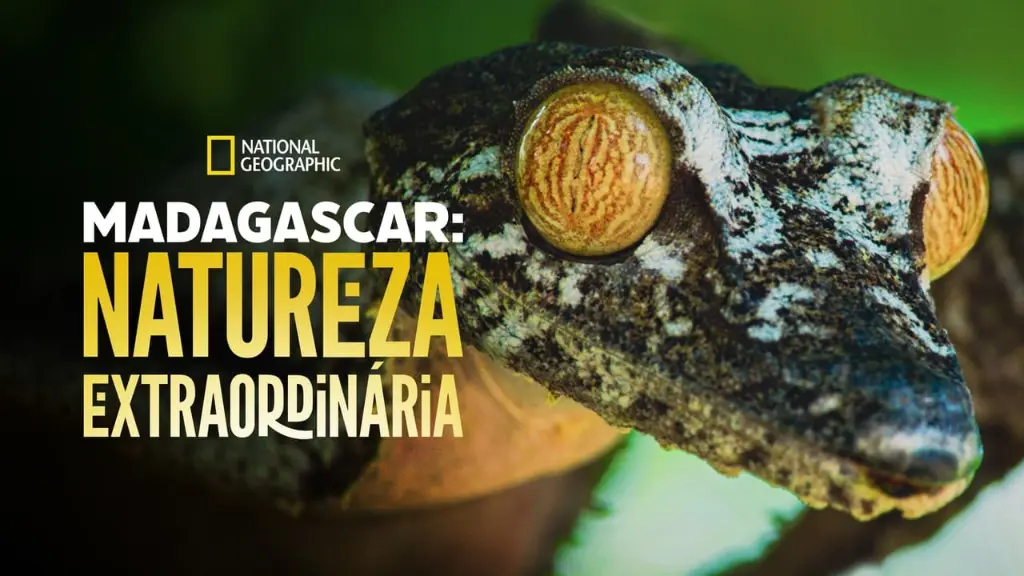 Madagascar: Natureza Extraordinária
