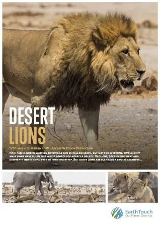 Os Leões do Deserto
