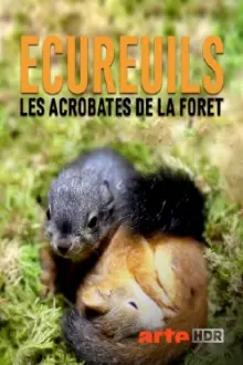 Secrets of Squirrels