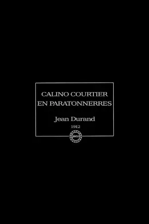 Calino courtier en paratonnerres