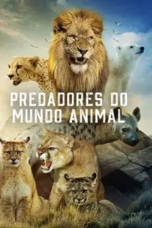 Predadores do Mundo Animal