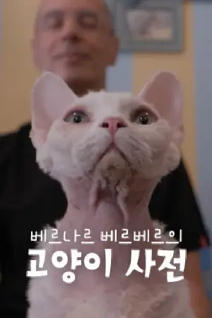 베르나르 베르베르의 고양이 사전