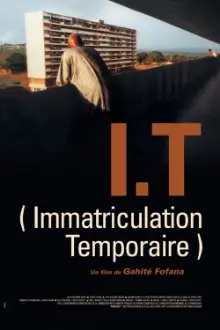 I.T. - Immatriculation temporaire