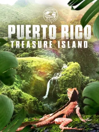 Passport To The World: Puerto Rico