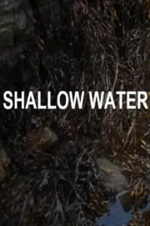 Shallow Water