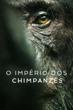 O Império dos Chimpanzés