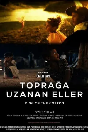 King of the Cotton