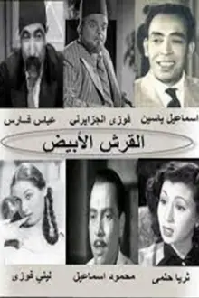 القرش الأبيض