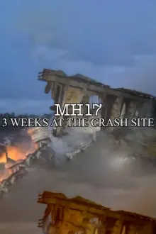 MH17