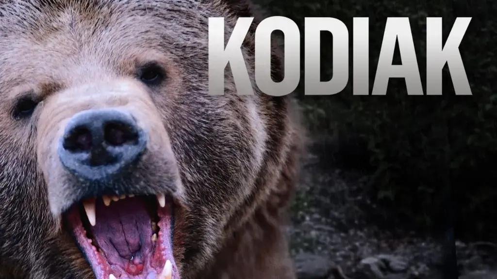 A Vida em Kodiak