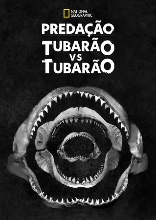 Predação: Tubarão vs Tubarão