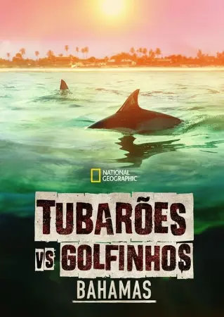 Tubarões vs. Golfinhos: Bahamas