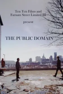 The Public Domain