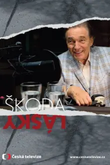 Škoda lásky