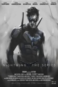 Nightwing: The Series