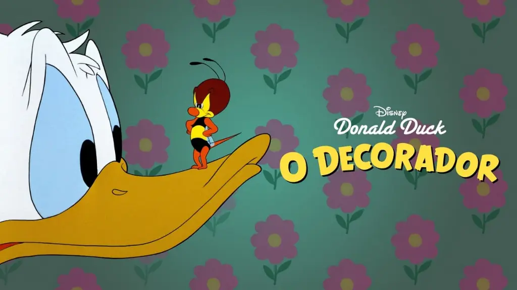 O Decorador