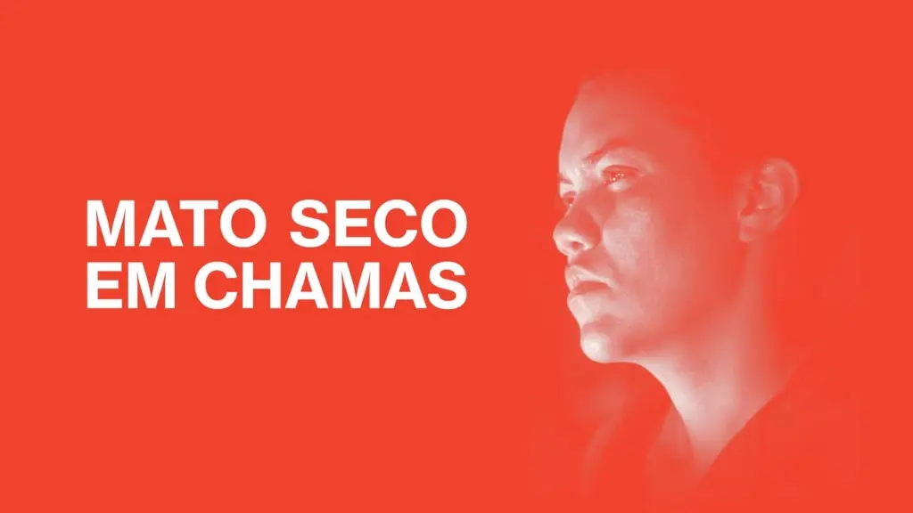 Mato Seco em Chamas