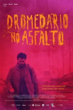 Dromedário no Asfalto