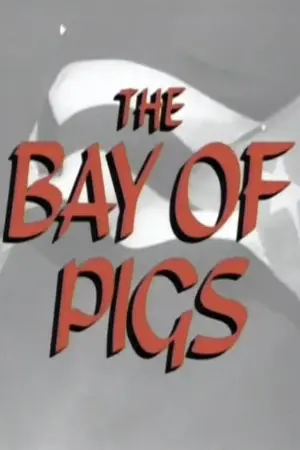 The Bay of Pigs