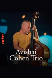 Avishai Cohen Trio – Shifting sands