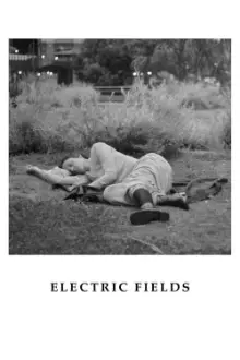 Electric Fields