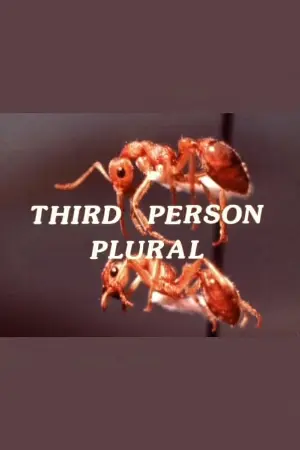 Third Person Plural