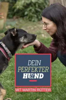 Dein perfekter Hund