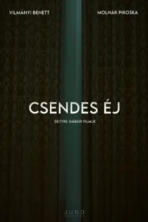 Csendes éj