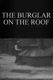 The Burglar on the Roof