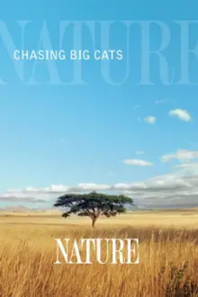 Chasing Big Cats