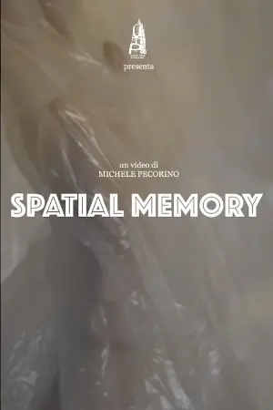 Spatial Memory