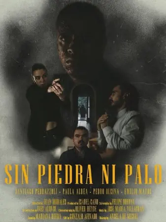 Sin Piedra Ni Palo