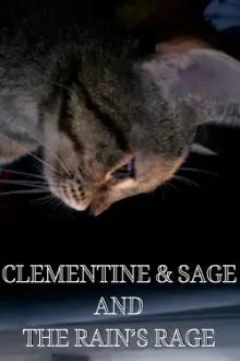 Clementine & Sage and The Rain's Rage