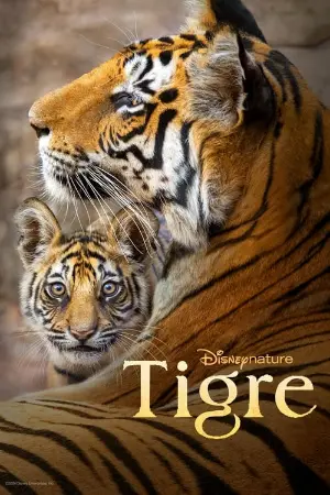 Tigre