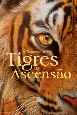 Tigres em Ascensão