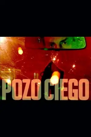 Pozo ciego