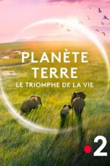 Planète Terre, le triomphe de la vie