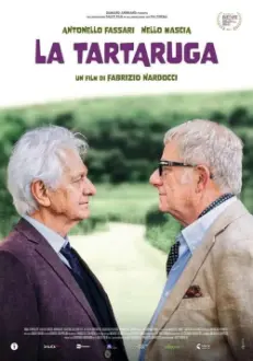 La tartaruga