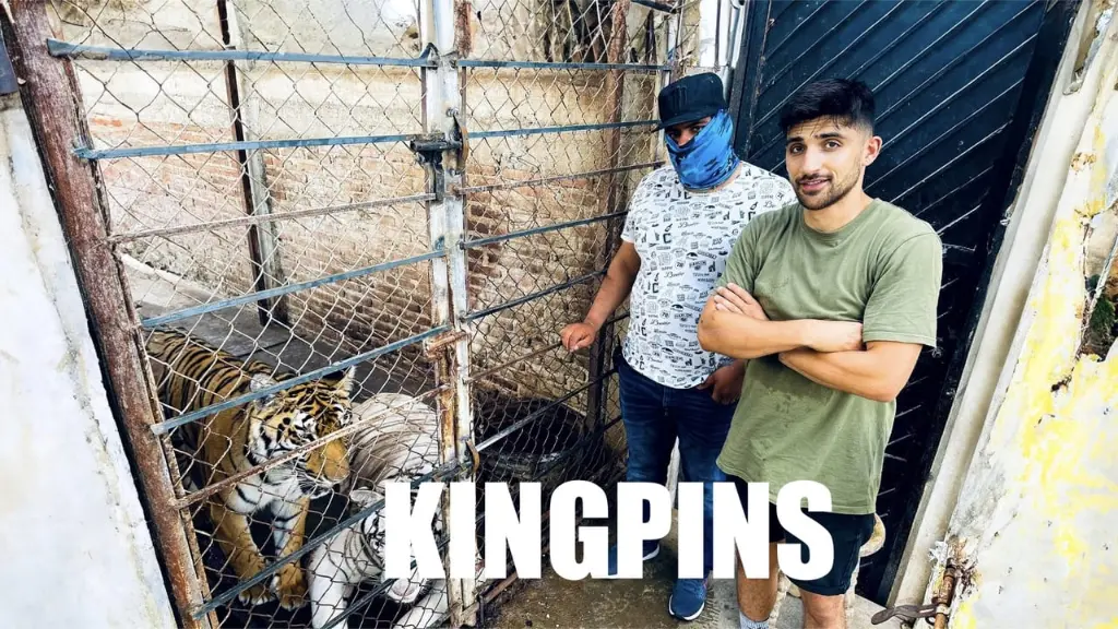 Kingpins