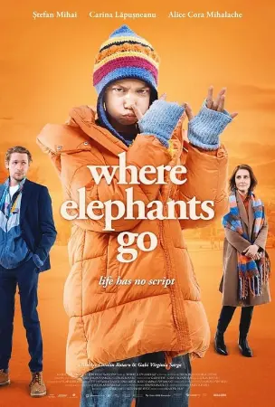 Where Elephants Go