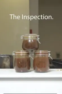 The Inspection