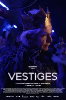 Vestiges