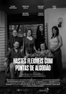 Hastes Flexíveis com Pontas de Algodão