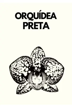 ORQUÍDEA PRETA