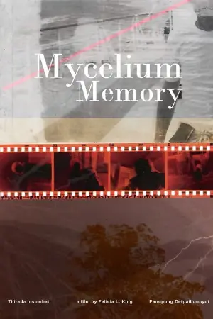 Mycelium Memory