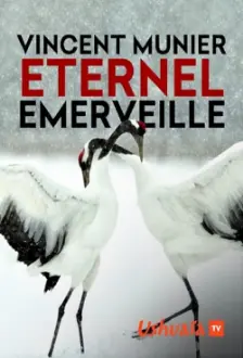 Vincent Munier, éternel émerveillé