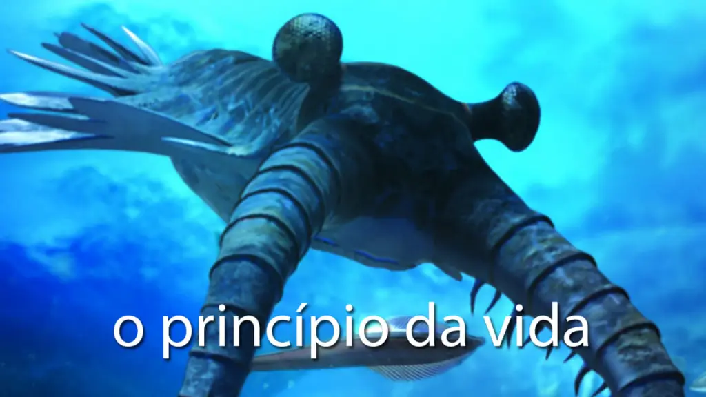 O Princípio da Vida