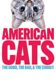 American Cats: The Good, the Bad, and the Cuddly