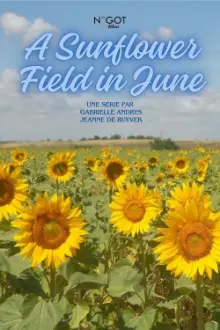 A Sunflower Field in June