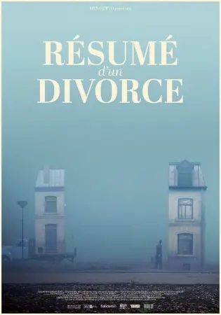 Manual for a Divorce